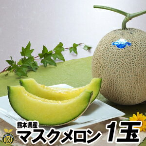 マスクメロン 1玉（1.5kg）熊本県産 高級メロン 贈答　ギフト