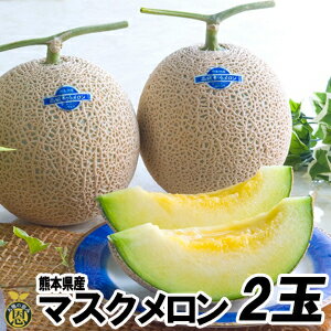 マスクメロン2玉（1.5kg×2玉）【送料