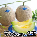 マスクメロン2玉（1.4kg×2玉）【送料