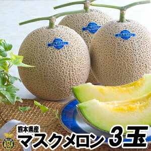 マスクメロン3玉（1.5kg×3玉）【送料無料】熊本県産 高級メロン　贈答　ギフト 1