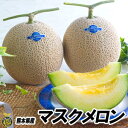 マスクメロン【送料無料】熊本県産 高級メロン 贈答 秋ギフト