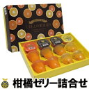 柑橘ゼリー詰合せ(くまもとの果実巡り)12個入【送料無料】(4)