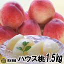 ハウス桃 1.5kg【送料無料】もも 温室栽培