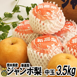楽天市場】荒尾梨 新高 5の通販