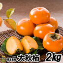 太秋柿 2kg(5〜8玉)【送料無料】熊本県 柿 贈答 ギフト