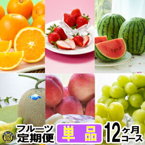 フルーツ定期便・単品　12ヶ月コース熊本県産　果物　毎月お届けギフト