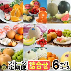 センスのいいフルーツ フルーツ定期便・詰合せ　6ヶ月コース【送料無料】熊本県産　果物　毎月お届けギフト