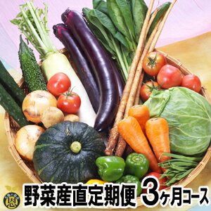 野菜産直定期便(3ヶ月コース)【送料無料】毎月届く　熊本　新鮮野菜