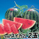 スイカ　2Lサイズ 2玉（約7kg）【送料無料】熊本県産　西瓜