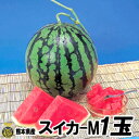 スイカ　Mサイズ 1玉（約5kg）熊本県産　西瓜