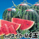 スイカ　Mサイズ 4玉（約5kg）熊本県産　西瓜