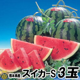 スイカ　Sサイズ 3玉（約4kg）【送料無料】熊本県産　西瓜