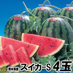 スイカ　Sサイズ 4玉（約4kg）【送料無料】熊本県産　西瓜