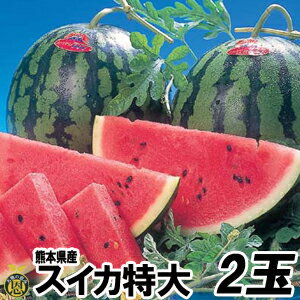 スイカ　特大サイズ 2玉（約8kg）【送料無料】熊本県産　西瓜