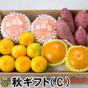 秋ギフト(C)【送料無料】熊本県 梨 みかん 贈答用 ギフト