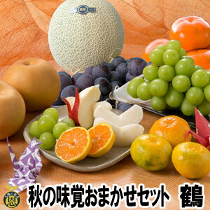 秋の味覚おまかせセット　鶴コース【送料無料】秋のおすすめ　贈答　ギフト　旬の果物詰合せ　メロン　ぶどう　梨　柿　みかん