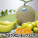 マスクメロン1玉・ハウスミカン1.9kg【送料無料】熊本県 高級メロン 温室 みかん
