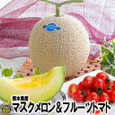 マスクメロン＆フルーツトマト詰合せ熊本県産　高級メロン　トマト　贈答用
