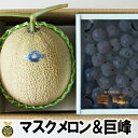 【7月上旬頃発送開始】巨峰&マスクメロン【送料無料】熊本県 高級メロン 贈答品 ギフト 高級ぶどう