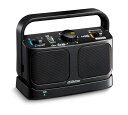 Victor JVC SP-A900テレビ用ワイヤレススピーカーシステム 生活防水仕様 連続20時間使用可能 みみ楽シリーズ