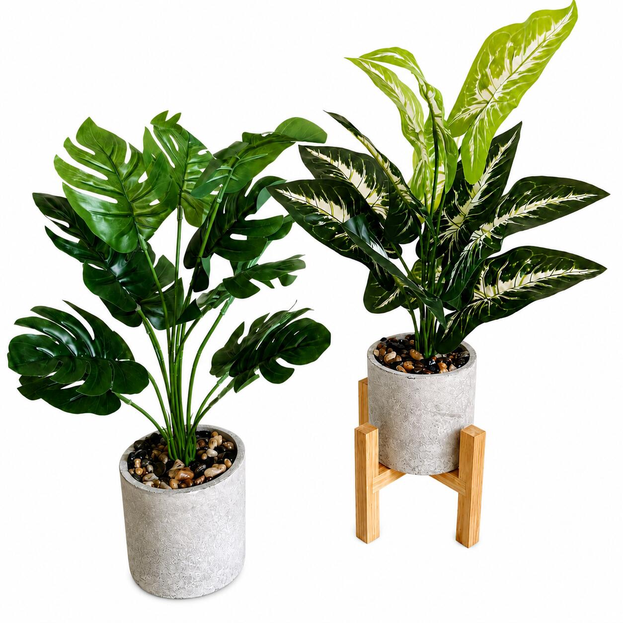 楽天市場】観葉 植物 2点セットの通販