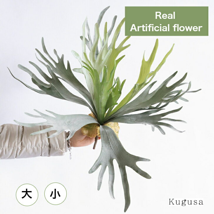 【レビュー特典あり】 エアープランツ コウコリラン ビカクシダ 造花 フェイク グリーン リアル 壁掛け 吊り下げ 吊るし ハンギング おしゃれ 人工 観葉植物 インテリア 装飾 ディスプレイ 店舗 飾り こうもりらん イミテーション Kugusaのサムネイル