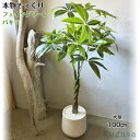 【店舗全商品ポイント2倍中】【生花店監修】 フェイクグリーン 大型 パキラ リアル 人工観葉植物 観葉植物 フェイク 造花 100cm インテリア 室内 オフィ...