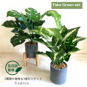 【生花店監修】 フェイクグリーン 人工観葉植物 観葉植物 モンステラ おしゃれ かわいい リアル 鉢植え ポット 造花 インテリア イミテーション アートグリー...