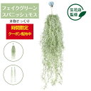 【アフターセールクーポン10%OFF】 【生花店監修】 エアープランツ スパニッシュモス 造花 フェイク グリーン 吊り下げ 壁掛け おしゃれ エアプランツ イ...