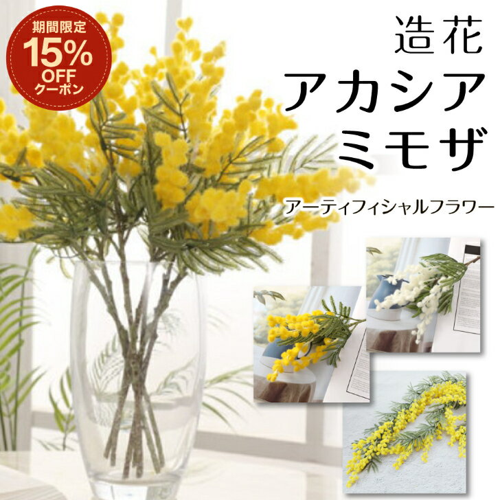楽天市場】ミモザ 枝の通販
