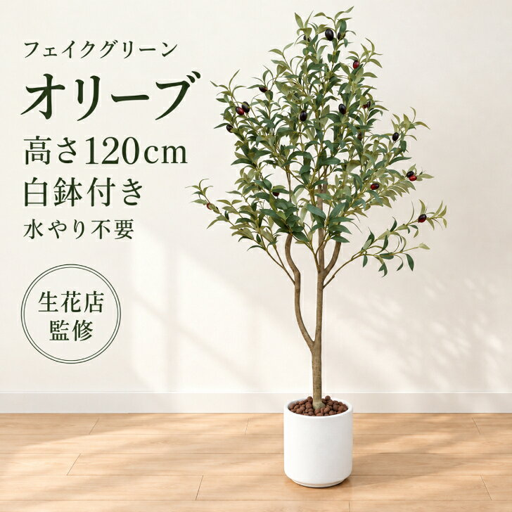 【生花店監修】 フェイクグリーン オリーブ オリーブの木 リアル 人工観葉植物 観葉植物 フェイク 大型 造花 120cm インテリア 室内 オフィス おしゃれ 装飾 平和の象徴の木 白鉢 敬老の日 ギフト Kugusa ＼レビュー特典あり／