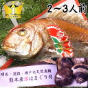 お食い初め 鯛 はまぐり セット 500g 焼鯛 明石・淡路島・泉州の天然鯛を炭火焼天然焼き鯛 祝い鯛御七夜 百日祝