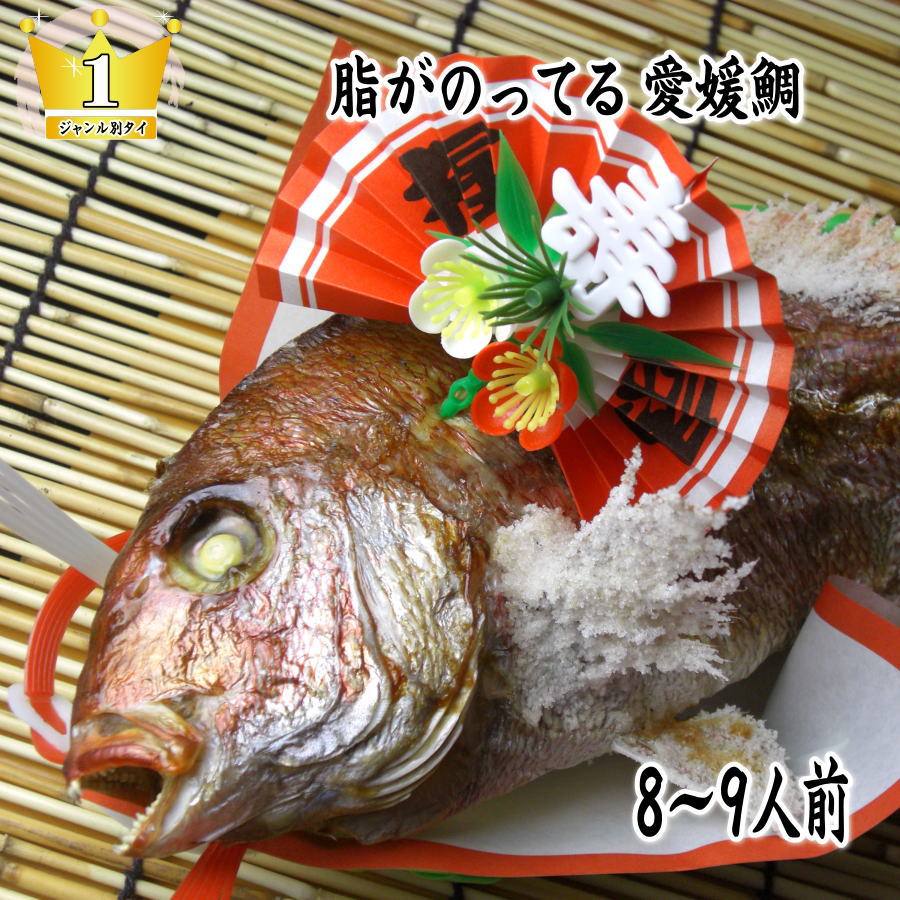 【祝い鯛】【送料無料】【お食い初め 鯛】 国産真鯛 焼き鯛 祝鯛 炭火焼 1.7kgupの愛媛県の真鯛【祝い飾り付き】真冬でも脂がのってうまい!おくいぞめ、にらみだいにも最適な【鯛の塩焼き】【尾頭付き鯛】【焼き鯛】 【お食い初め鯛】御七夜