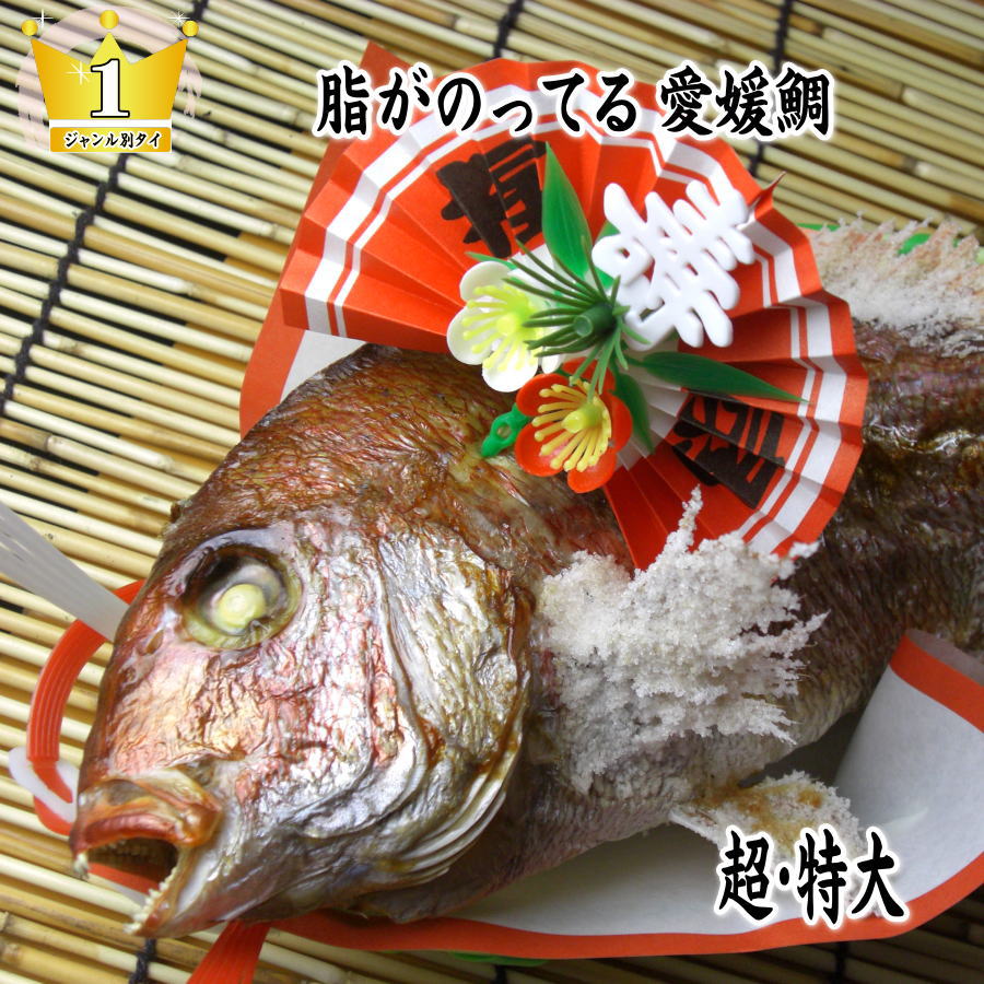 【焼き鯛】お食い初め 鯛【送料無料】【祝い鯛】国産真鯛 焼き鯛 祝鯛 炭火焼 2kgアップの愛媛県の真鯛【祝い飾り付き】真冬でも脂がのってうまい!おくいぞめ、にらみだいにも最適な【鯛の塩焼き】【尾頭付き鯛】【お食い初め鯛】御七夜