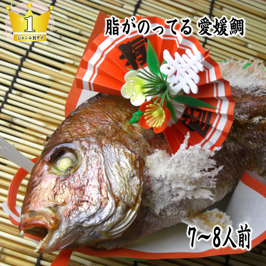 【鯛の塩焼き】お食い初め 鯛【送料無料】【祝い鯛】お食い初め お祝い用【焼き鯛】 国産真鯛 祝鯛 炭火焼 1.5kgupの愛媛県の真鯛【祝い飾り付き】真冬でも脂がのってうまい!おくいぞめ、にらみだいにも最適な 鯛の塩焼き【尾頭付き】御七夜