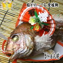 【お食い初め 鯛】炭火焼 祝鯛【送