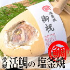 愛媛 活け鯛 2kg【塩釜焼】【送料無料】【ご希望のメッセージをお付けします〜♪】【鯛塩釜焼き】【ギフト】【贈り物】【プレゼント】のくいだおれ本舗の自信作【鯛の塩釜焼き】【鯛塩釜焼き】御七夜【鯛の塩焼き】【尾頭付き鯛】【お食い初め　鯛】