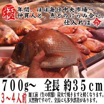 【お食い初め　鯛】焼鯛 送料無料 祝い飾り付き 当店1番人気の 焼き鯛 700gアップ淡路・明石・瀬戸内の天然焼き鯛を炭火焼。祝い鯛・明石鯛・天然鯛・100日　お食い初め セット・鯛　塩焼き・鯛 尾頭付き 母の日　ギフト お食い初め鯛