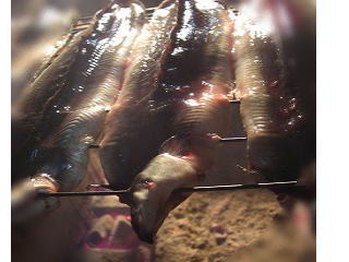 ���ϰ쿧Į ���ʤ����ܵ��Τʤˤ��Ͼơ���� �ڥ��ʥ� / ����