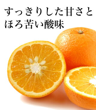 甘夏 みかん 紅甘夏 あまなつ Mサイズ 10kg 熊本 秀品 32玉前後 送料無料 産直 甘い