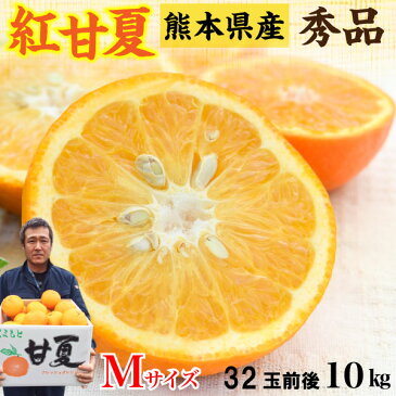 甘夏 みかん 紅甘夏 あまなつ Mサイズ 10kg 熊本 秀品 32玉前後 送料無料 産直 甘い