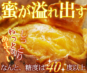 さつまいも 安納芋 焼き芋（やきいも）鹿児島 送料無料 簡単 時短調理 冷凍焼き芋 プレミア蜜芋使用 完熟安納芋焼き芋1kg クール