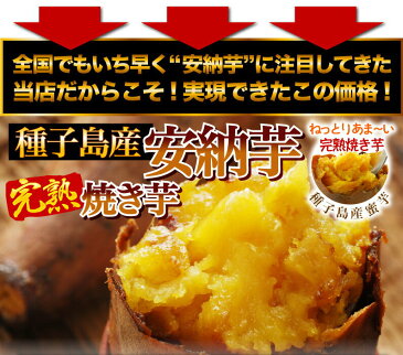 安納芋 焼き芋 和菓子 （さつまいも やきいも）送料無料 ひんやりスイーツ元祖冷やし芋 冷凍焼き芋 プレミア蜜芋使用 完熟安納芋 3kg クール