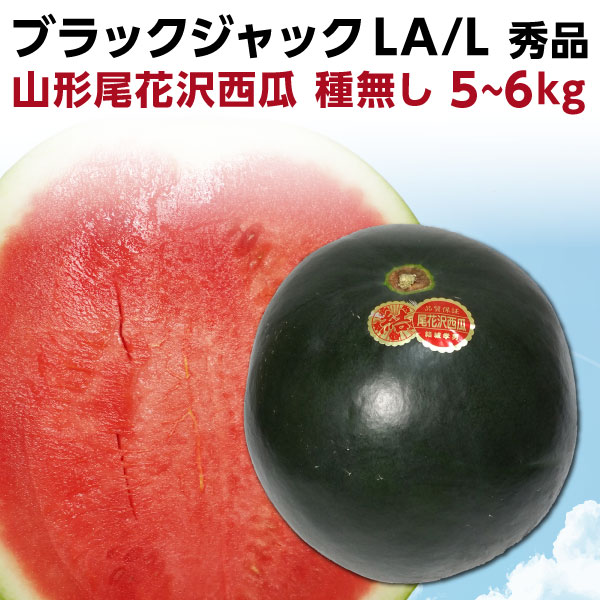 【ふるさと納税】長崎県産　長浦すいか　L玉（6kg台）1玉