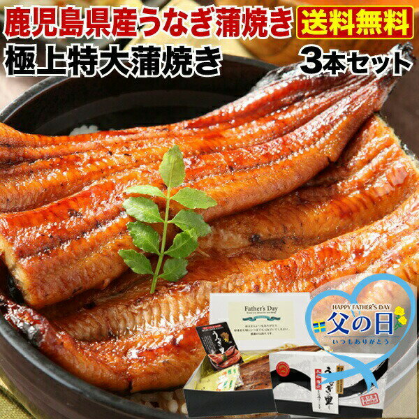 父の日ギフト 父の日 プレゼント 蒲焼き 国産 鹿児島産 特大蒲焼き3本セット 約200g×3 ギフトBOX特典付き 送料無料 うなぎの里 クール