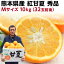 甘夏 みかん 紅甘夏 あまなつ Mサイズ 10kg 熊本 秀品 32玉前後 送料無料 産直 甘い