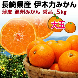 ＼予約開始！／ ギフト みかん 大玉 2L 伊木力 長崎 早生 温州ミカン 秀品 5kg（5kg×1箱） 送料無料 甘い蜜柑 贈答用 内祝 お歳暮 産地直送 Y常