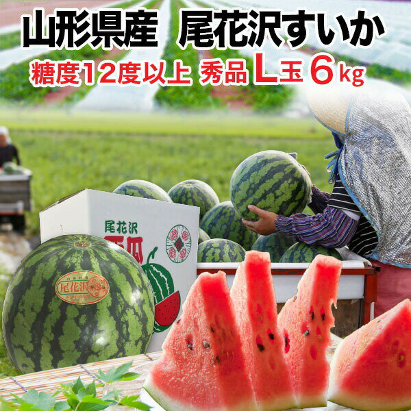 山形　尾花沢すいか 秀品 L玉6kg以上 糖度12度以上の甘さとシャリっと食感が特徴の山形尾花沢の夏スイカ！ お子様がいるご家庭にとても喜ばれる大玉の夏スイカです。 暑い夏にひんやりかぶりつきたくなる西瓜をお中元にぜひご利用ください！ 尾花沢のブランドスイカで日頃の感謝を伝えませんか？ 商品名 山形　尾花沢すいか 秀品 内容 秀品　L玉6kg以上 原材料 スイカ 原産地 山形県 賞味期限 できるだけお早めにお召し上がりください。 保存方法 冷蔵庫を使用せず、洗わずに新聞紙などで包み涼しい場所に保存してください。 発送形態 常温便配達（発送時期：7月下旬〜8月中旬） ご注意ください ◎産地直送のため、その他の商品との同梱はできません。 ◎産地直送・専用箱でお届けしますので、ギフト包装、紙袋等をお付けすることはできません。 ◎お届け日の指定を承ることはできません。 ◎産地直送のため、納品書・領収書は、お届けの商品に同梱できません。※ご希望の場合は別送いたしますのでお申し付けください。 ◎お客様理由による返品は、お断りさせていただいております。 ◎商品の破損・不良等による返品・交換の場合は、商品到着後3日以内にご連絡ください。 送料に ついて 送料無料 (九州・四国地区へのお届けは送料520円、沖縄地区へのお届けは送料600円) 販売者名 有限会社ホロニックフーズ福岡県筑紫野市二日市中央2-11-1 ＜関連キーワード＞ のし・ギフトBOX対応もあります。コンビニ後払い対応可能 母の日 プレゼント 母の日ギフト 父の日 プレゼント 父の日ギフト 敬老の日ギフト 敬老の日ギフト 海の幸ギフト 贈り物 内祝い お中元 敬老の日 お歳暮 ご挨拶 引き出物 引出物 内祝 快気祝い 香典返し お返し カタログ 結婚式　セット 人気 お年賀 御歳暮 母の日 父の日 遅れてごめんね 初任給 プレゼント 退職祝い 楽天グルメ大賞 内祝い お返し 御正月 お正月 御年賀 お年賀 御年始 初盆 お盆 御中元 お中元 お彼岸 残暑御見舞 残暑見舞い 敬老の日 寒中お見舞 クリスマス クリスマスプレゼント クリスマスイブ クリスマスイヴ お歳暮 御歳暮 春夏秋冬 日常の贈り物 退院祝い 全快祝い 快気祝い 快気内祝い 御挨拶 ごあいさつ 引越しご挨拶 引っ越し お宮参り御祝 志 進物 長寿のお祝い 61歳 還暦（かんれき） 還暦御祝い 還暦祝 祝還暦 華甲（かこう） 祝事 合格祝い 進学内祝い 成人式 御成人御祝 卒業記念品 卒業祝い 御卒業御祝 入学祝い 入学内祝い 小学校 中学校 高校 大学 就職祝い 社会人 幼稚園 入園内祝い 御入園御祝 お祝い 御祝い 内祝い 金婚式御祝 銀婚式御祝 御結婚お祝い ご結婚御祝い 御結婚御祝 結婚祝い 結婚内祝い 結婚式 引き出物 引出物 御出産御祝 ご出産御祝い 出産御祝 出産祝い 出産内祝い 御新築祝 新築御祝 新築内祝い 祝御新築 祝御誕生日 バースデー バースディ バースディー 七五三御祝 753 初節句御祝 節句 昇進祝い 昇格祝い 就任 弔事 御供 お供え物 粗供養 御仏前 御佛前 御霊前 香典返し 法要 仏事 新盆 新盆見舞い 法事 法事引き出物 法事引出物 年回忌法要 一周忌 三回忌 七回忌 十三回忌 十七回忌 二十三回忌 二十七回忌 御膳料 御布施 御開店祝 開店御祝い 開店お祝い 開店祝い 御開業祝 周年記念 来客 お茶請け 御茶請け 異動 転勤 定年退職 退職 挨拶回り 転職 お餞別 贈答品 粗品 おもたせ 手土産 心ばかり 寸志 新歓 歓迎 送迎 新年会 忘年会 二次会 記念品 景品 開院祝い プチギフト お土産 ゴールデンウィーク GW 帰省土産 バレンタインデー バレンタインデイ ホワイトデー ホワイトデイ お花見 ひな祭り 端午の節句 こどもの日 ギフト プレゼント 御礼 お礼 謝礼 御返し お返し お祝い返し 御見舞御礼 個包装 上品 上質 高級 お取り寄せスイーツ おしゃれ 可愛い かわいい 食べ物 お取り寄せ 人気 食品 老舗 おすすめ インスタ インスタ映え ありがとう ごめんね おめでとう 今までお世話になりました いままで お世話になりました これから よろしくお願いします お父さん お母ん 兄弟 姉妹 子供 おばあちゃん おじいちゃん 奥さん 彼女 旦那さん 彼氏 先生 職場 先輩 後輩 同僚 取り寄せ 大切な人 大切な時 重要 詰め合わせ グルメセット お母さん 親 親父 早割 数量限定 まだ間に合う お中元 中元 お中元ギフト 御中元 御中元ギフト 御中元人気 お中元人気 誕生日プレゼント 父 ギフト ゴルフコンペ 景品 夏バテ 春バテ キャッシュレス 還元