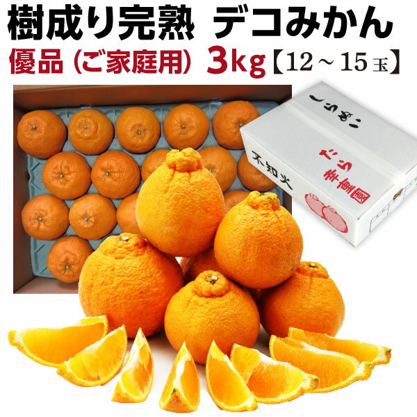 デコポンと同品種 不知火 デコみかん L/2L 3kg 12～15玉 佐賀県産 優品 しらぬい 少し訳あり 家庭用 送料無料 産地直送 Y常