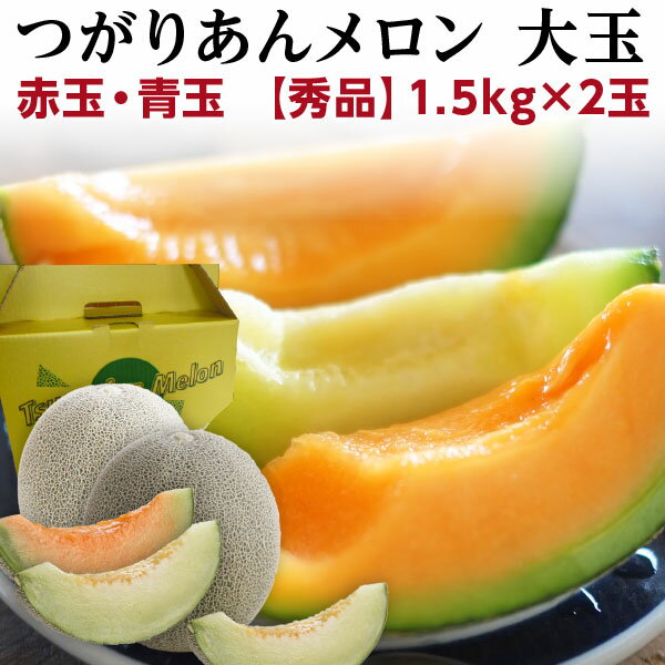 お中元 ギフト フルーツ 果物 メロン つがりあんメロン 青森産 秀品 1.5kg×2玉 スイートルビー&アーバンデリシャス 2L 産地直送 Y常のサムネイル